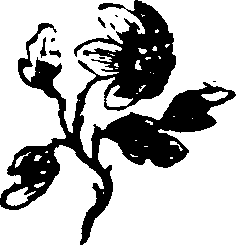 029/029470060002290_0.png