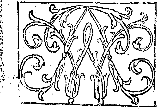 029/029690070000010_0.png