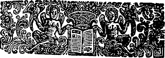 029/029750060402890_2.png