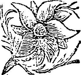 029/029790320000160_0.png