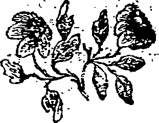 029/029920180001060_0.png
