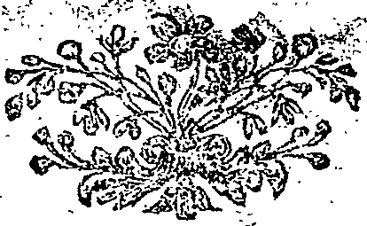 029/029940230000010_0.png