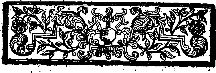 029/029950010000030_0.png