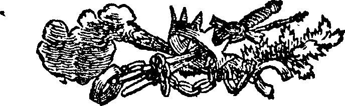 029/029990040000110_0.png