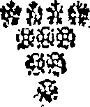 030/030000100102850_0.png