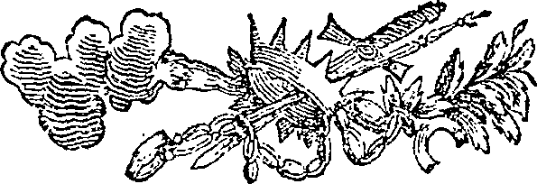 030/030040020000040_0.png