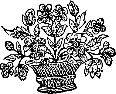 030/030160070202970_0.png