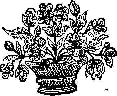 030/030160070203620_0.png