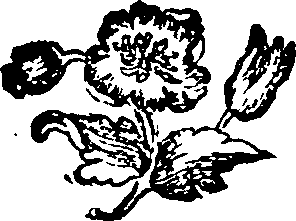 030/030250010701280_0.png