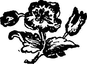 030/030250010800540_0.png