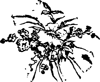 030/030250010800710_0.png