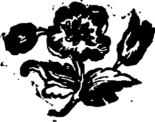 030/030250010900820_0.png