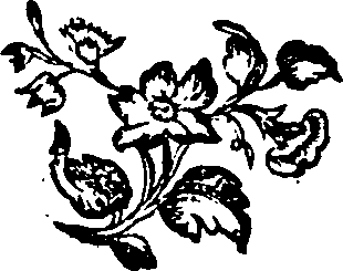 030/030250010900950_0.png