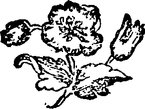 030/030250010901450_0.png