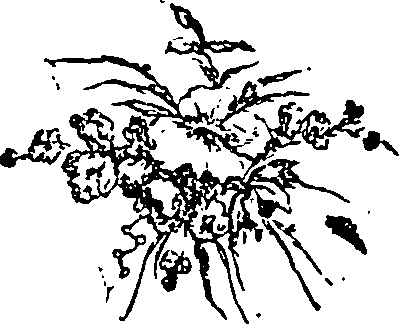 030/030250011000810_0.png