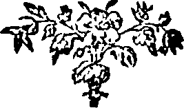 030/030250011002100_0.png