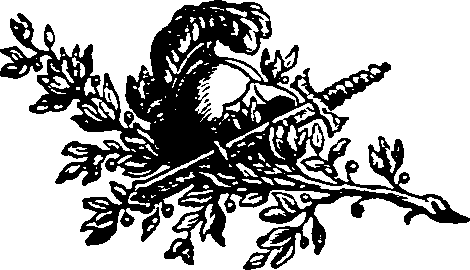 030/030270060000360_0.png