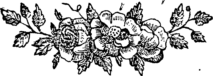 030/030270070000010_0.png