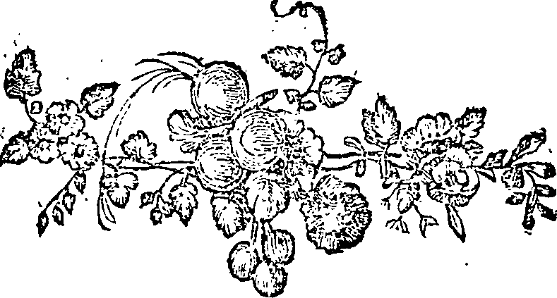 030/030270070000080_1.png