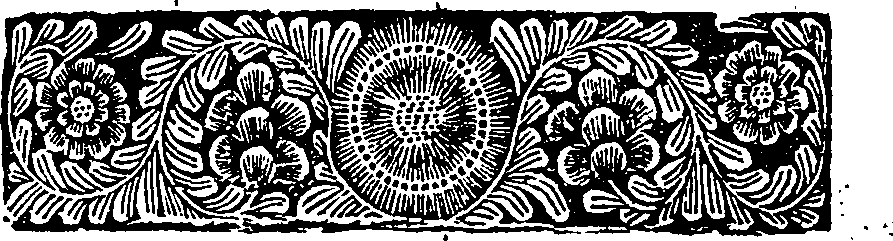 030/030480240101110_2.png