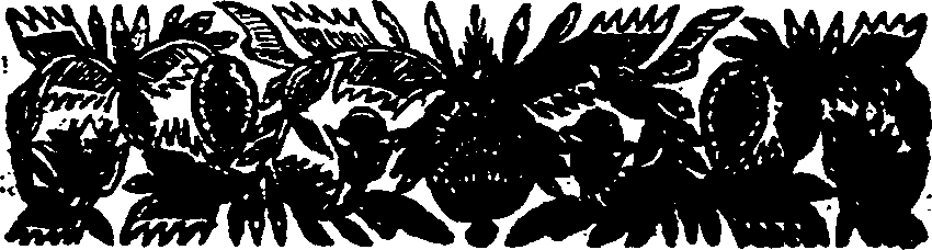 030/030480240103200_0.png
