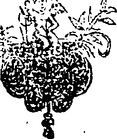 030/030480240200010_0.png