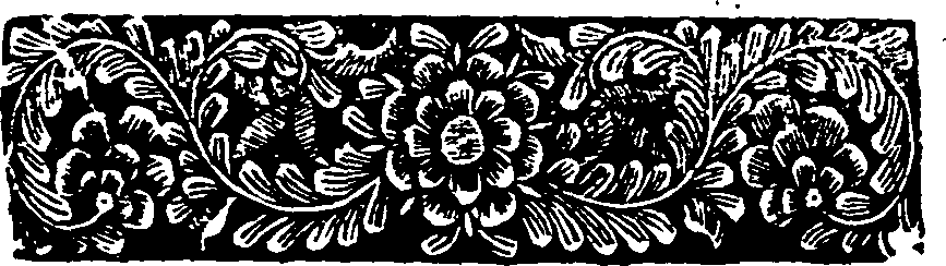 030/030480240201250_1.png