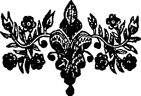 030/030480240202030_0.png