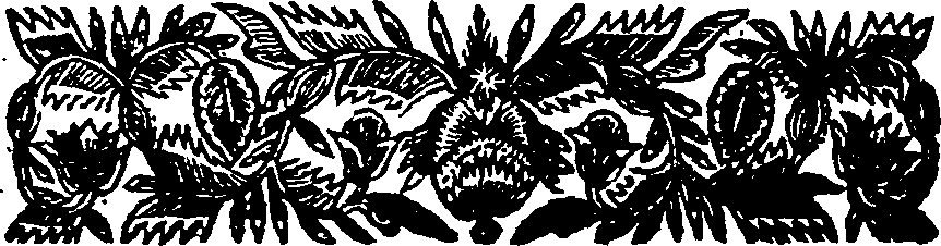 030/030480240202330_0.png