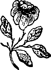 030/030560130000780_0.png