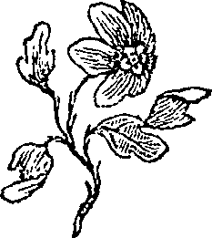 030/030560130000830_0.png