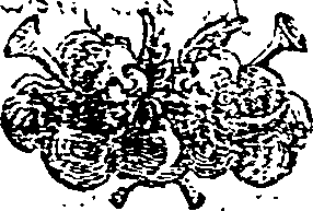 030/030580130000240_0.png