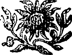 030/030620010401190_0.png