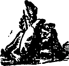 030/030630010700960_0.png