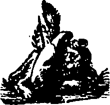 030/030630010702900_0.png