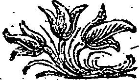 030/030750140000900_0.png