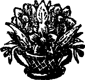 030/030850040001210_0.png