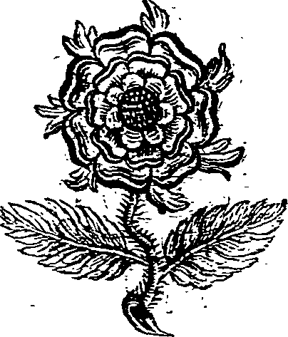 031/031060030000850_0.png