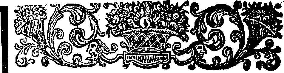 031/031110030200080_2.png