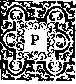 031/031380040200020_1.png