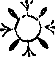 031/031400120001790_0.png