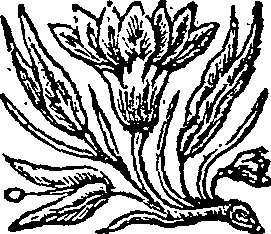 031/031640150000010_0.png
