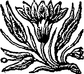 031/031640150000260_0.png