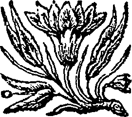 031/031640150000340_0.png
