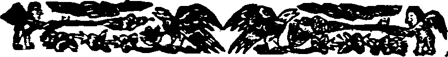 031/031680070000270_1.png