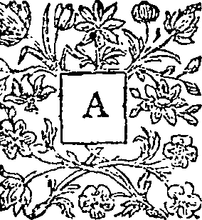 031/031740030000020_0.png