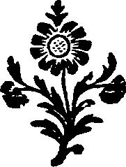 031/031750010103350_0.png