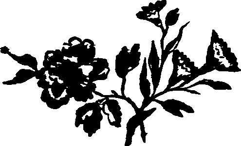 031/031750010105650_0.png