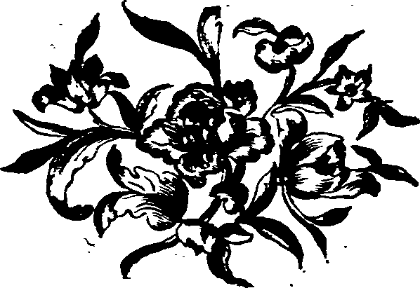 031/031750010200550_0.png