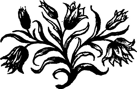 031/031750010203120_0.png